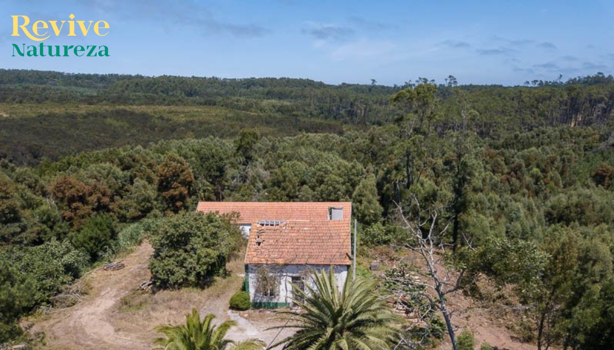 Imagem não disponível sobre: Revive Natureza: duas sessões de esclarecimento sobre imóveis a concurso